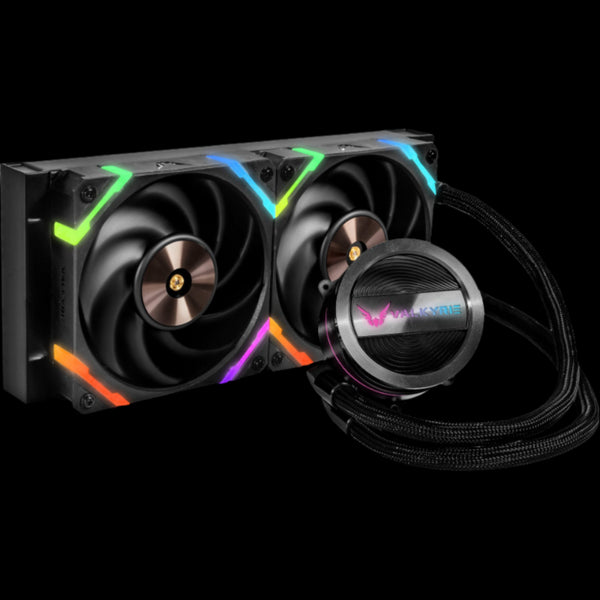 Valkyrie Dragonfang 240 ARGB - Noir