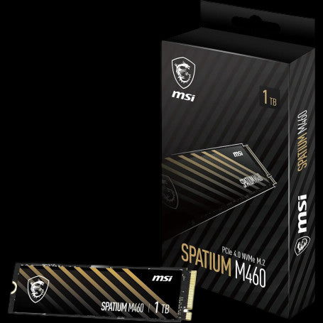 MSI Spatium M460 1To NVMe PCIe 4.0